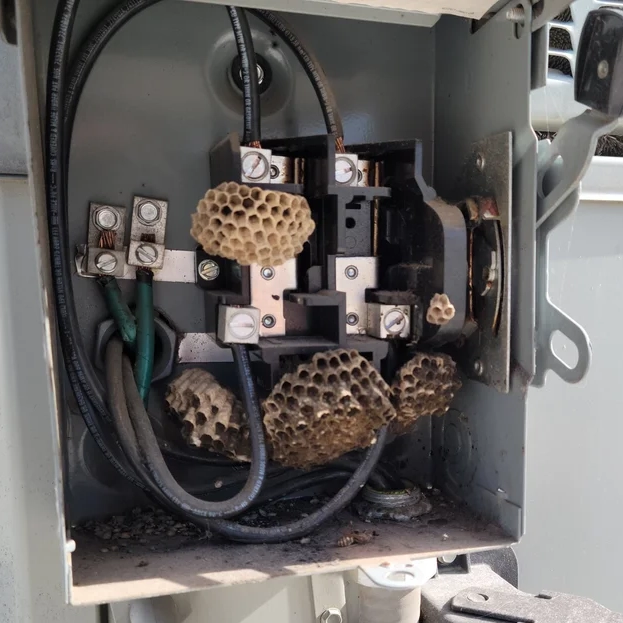 Wild HVAC issue 4
